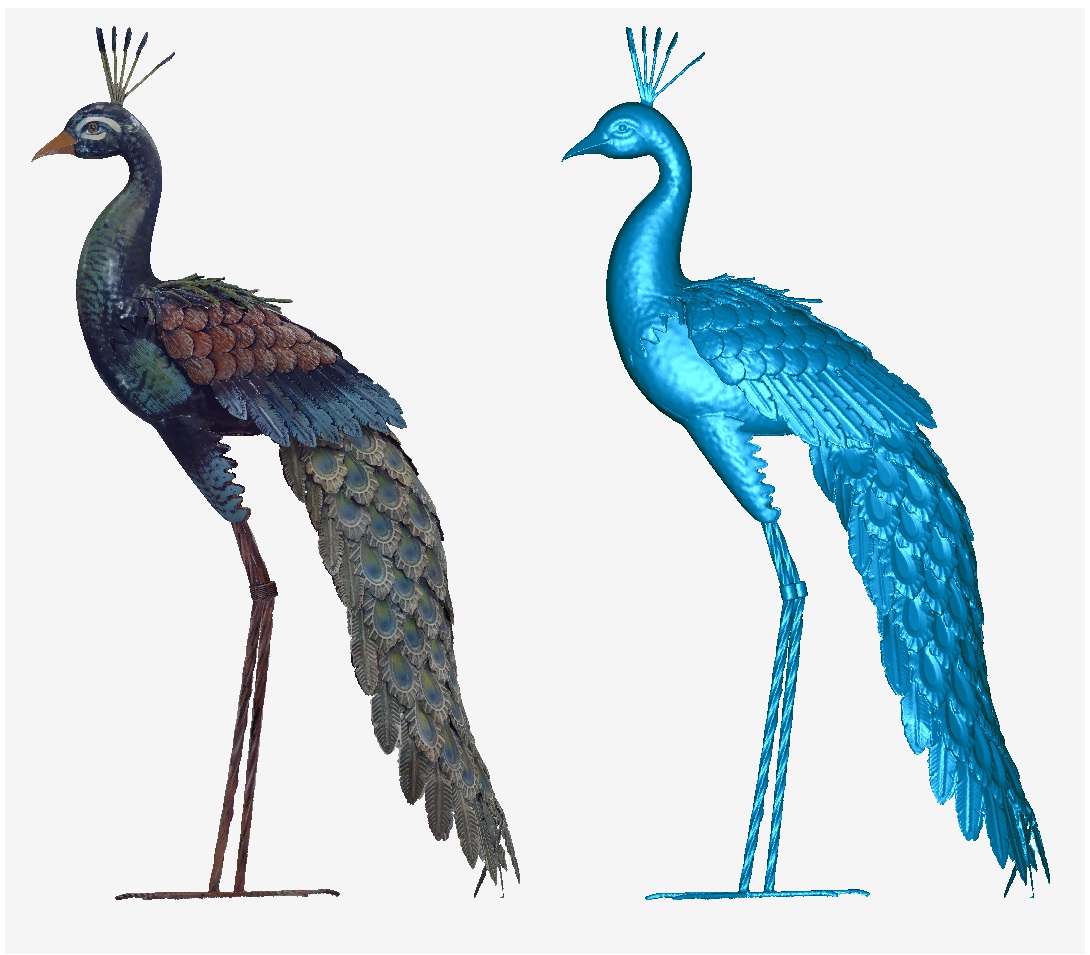 peacock.jpg